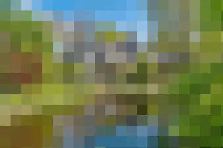 Ruysdaellaan 67 Huis ter Heide thumbnail 35