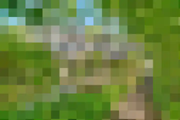Ruysdaellaan 67 Huis ter Heide thumbnail 36