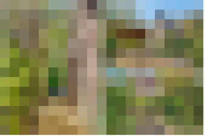 Ruysdaellaan 67 Huis ter Heide thumbnail 37