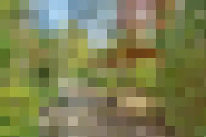 Ruysdaellaan 67 Huis ter Heide thumbnail 38