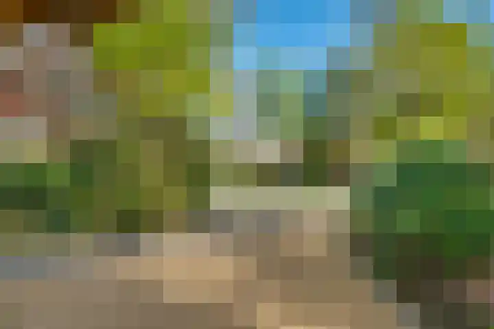 Ruysdaellaan 67 Huis ter Heide thumbnail 39