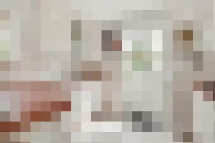 Ruysdaellaan 67 Huis ter Heide thumbnail 5