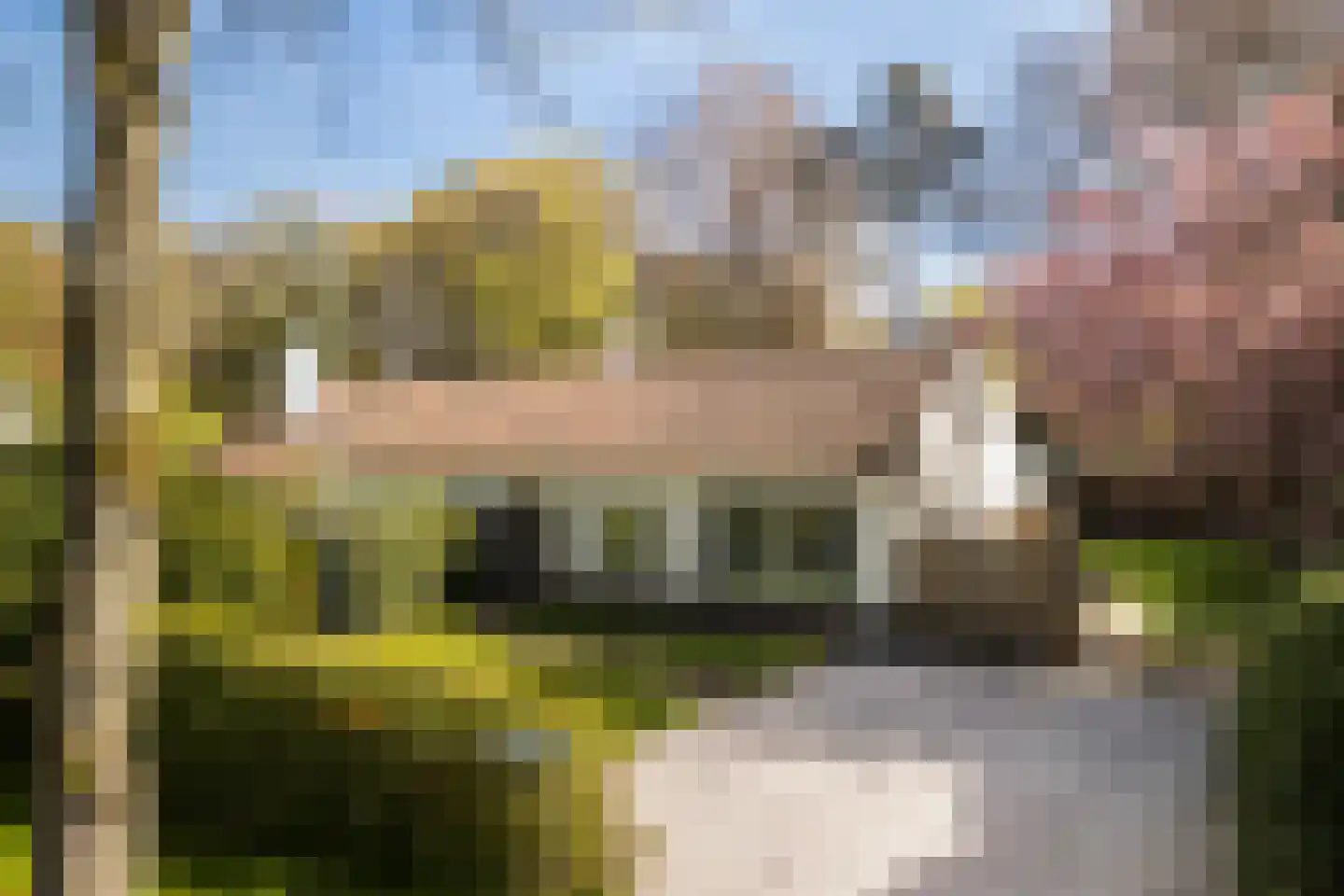 Ruysdaellaan 8 Huis ter Heide