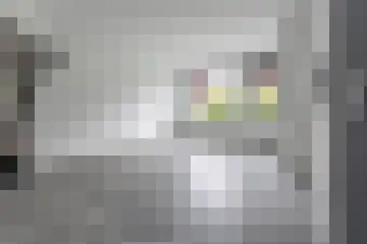 Ruysdaellaan 88 Nijkerk thumbnail 13