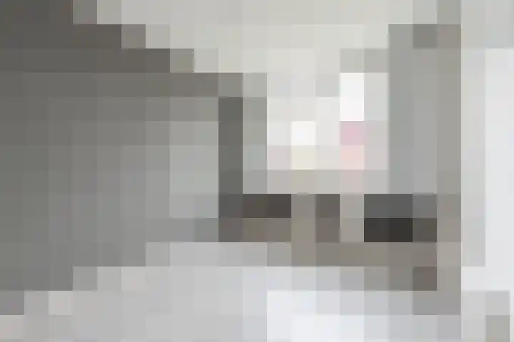 Ruysdaellaan 88 Nijkerk thumbnail 18