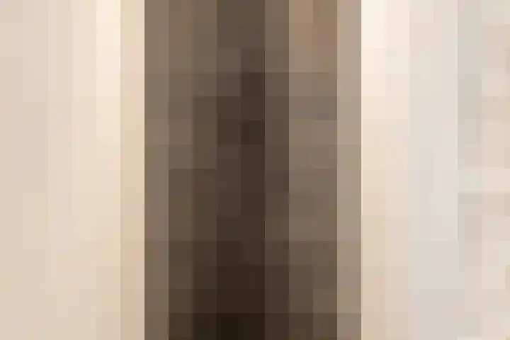 Ruysdaellaan 88 Nijkerk thumbnail 25