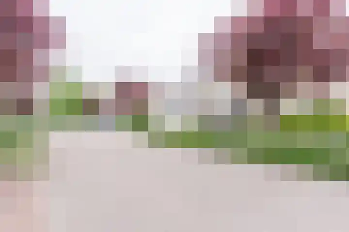 Ruysdaellaan 88 Nijkerk thumbnail 33