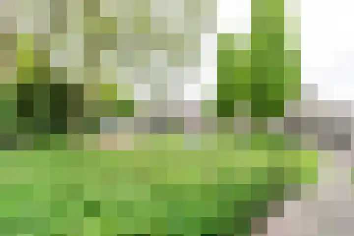 Ruysdaellaan 88 Nijkerk thumbnail 35