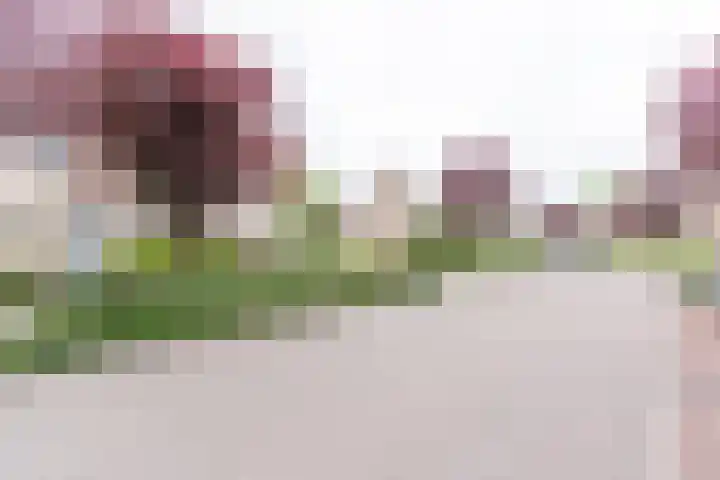 Ruysdaellaan 88 Nijkerk thumbnail 36