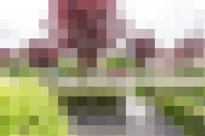 Ruysdaellaan 88 Nijkerk thumbnail 37