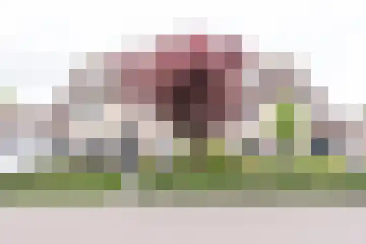 Ruysdaellaan 88 Nijkerk thumbnail 38