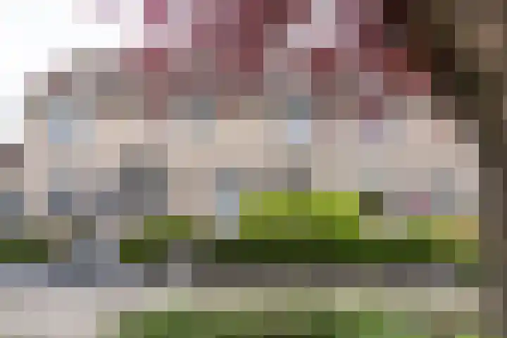 Ruysdaellaan 88 Nijkerk thumbnail 39