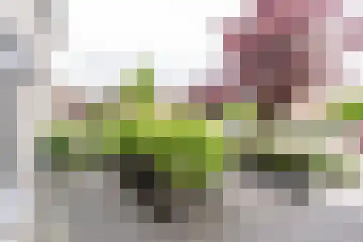 Ruysdaellaan 88 Nijkerk thumbnail 5