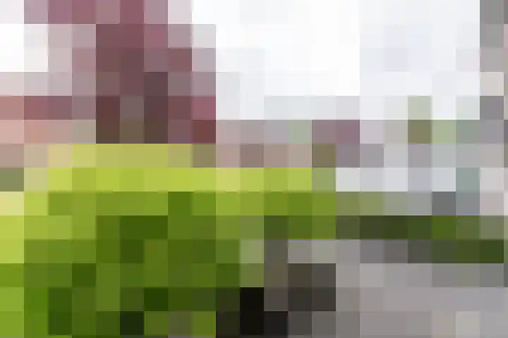 Ruysdaellaan 88 Nijkerk thumbnail 6