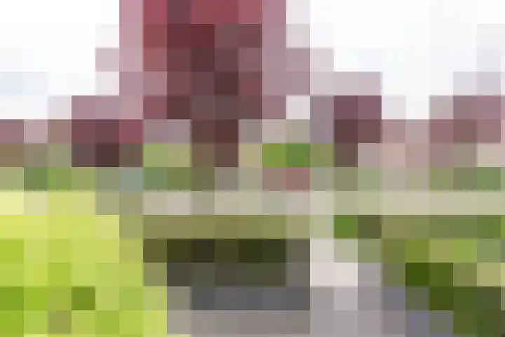 Ruysdaellaan 88 Nijkerk thumbnail 7