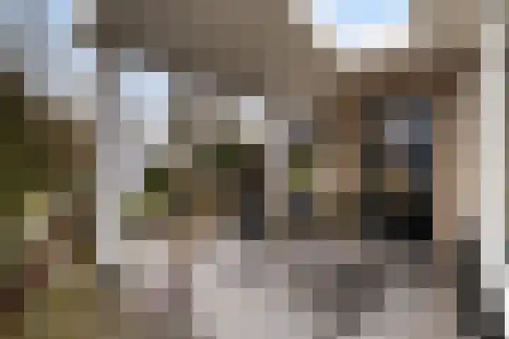 Ruysdaellaan 92 Nijkerk thumbnail 28