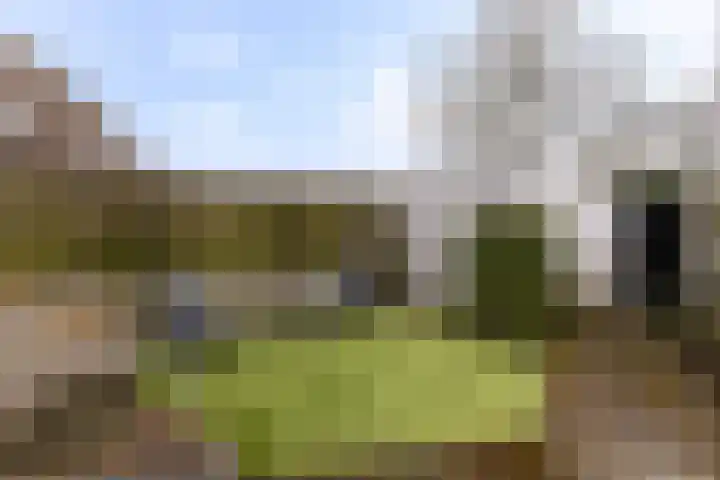 Ruysdaellaan 92 Nijkerk thumbnail 30