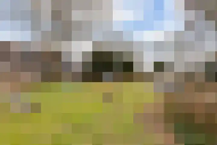 Ruysdaellaan 92 Nijkerk thumbnail 31