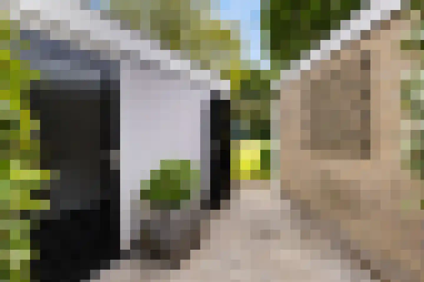 Ruysdaellaan 92 Nijkerk thumbnail 35