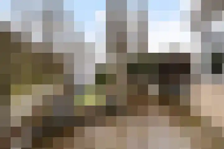 Ruysdaellaan 92 Nijkerk thumbnail 5