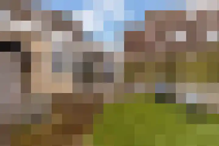Ruysdaellaan 92 Nijkerk thumbnail 6