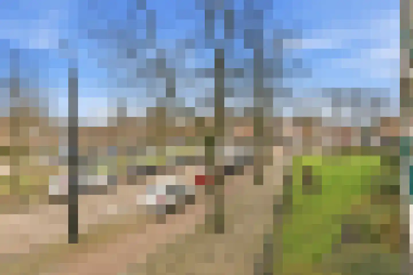 Ruysdaelplein 13 Rijswijk thumbnail 25