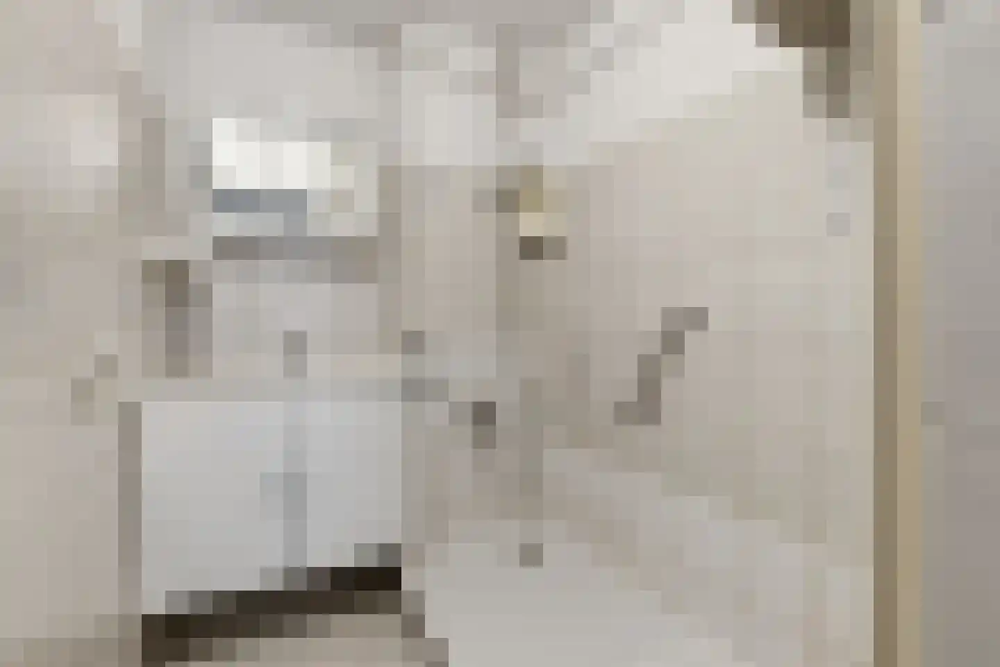 Ruysdaelplein 13 Rijswijk thumbnail 44