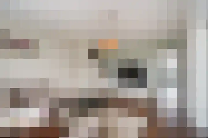 Ruysdaelplein 21 Rijswijk thumbnail 14