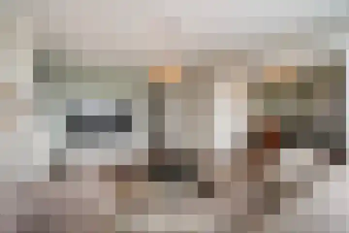 Ruysdaelplein 21 Rijswijk thumbnail 15