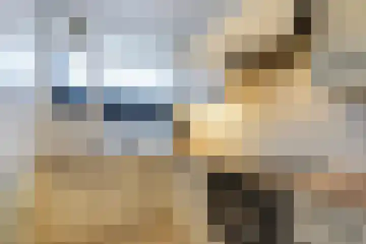 Ruysdaelplein 21 Rijswijk thumbnail 16