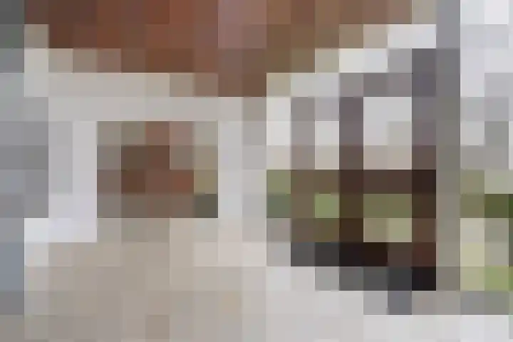 Ruysdaelplein 21 Rijswijk thumbnail 28