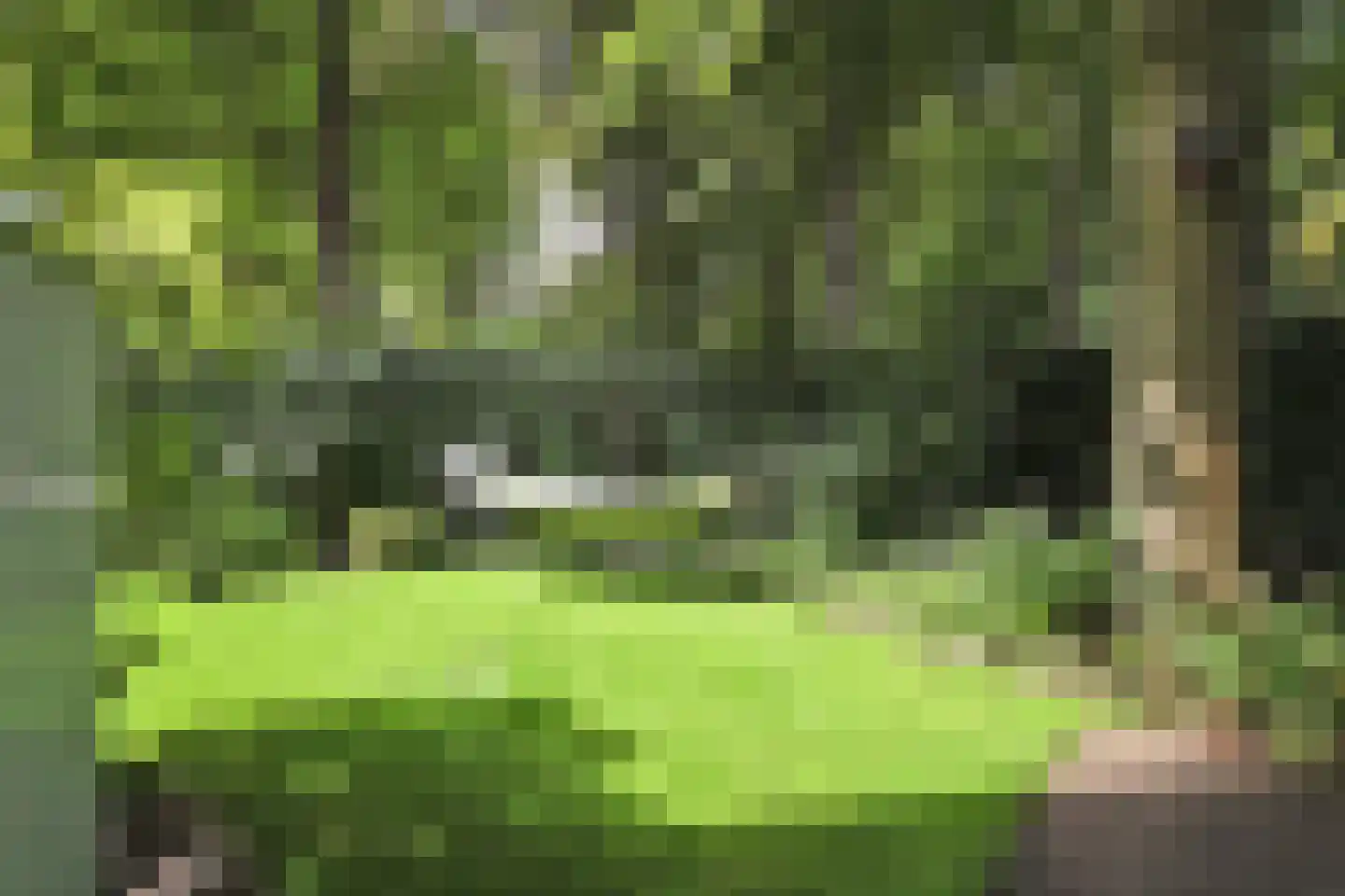 Ruysdaelplein 37 Rijswijk thumbnail 14