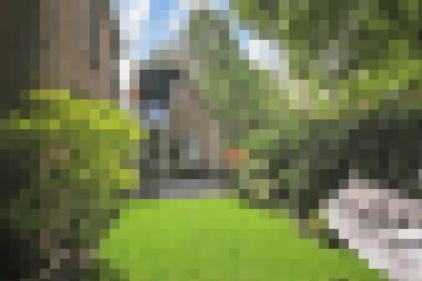 Ruysdaelplein 37 Rijswijk thumbnail 15