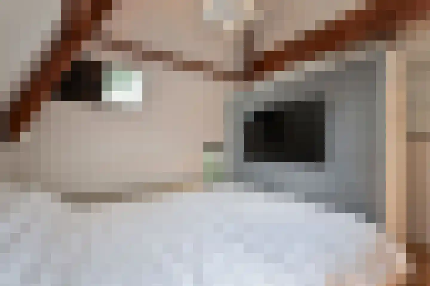 Ruysdaelplein 37 Rijswijk thumbnail 34