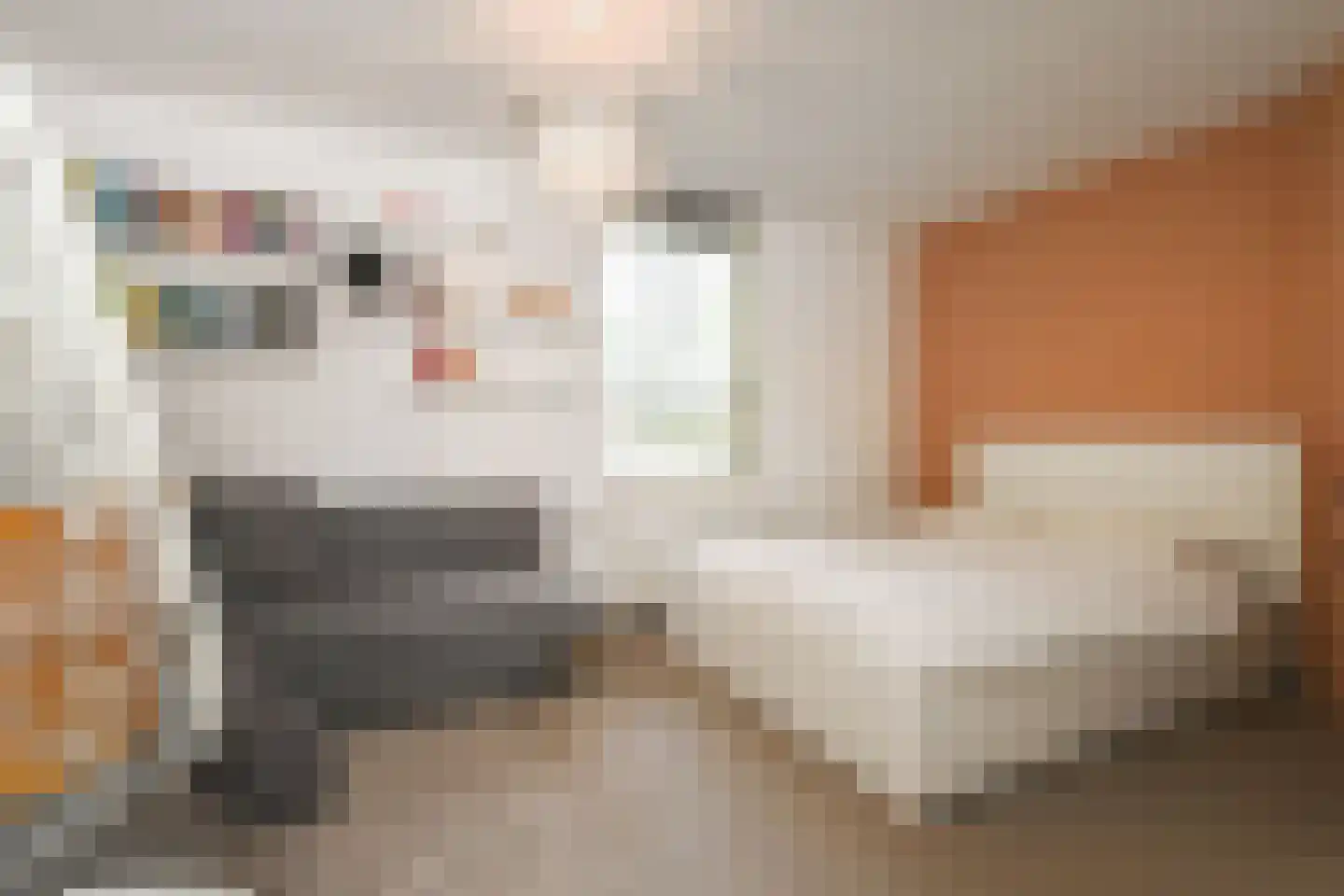 Ruysdaelplein 37 Rijswijk thumbnail 35