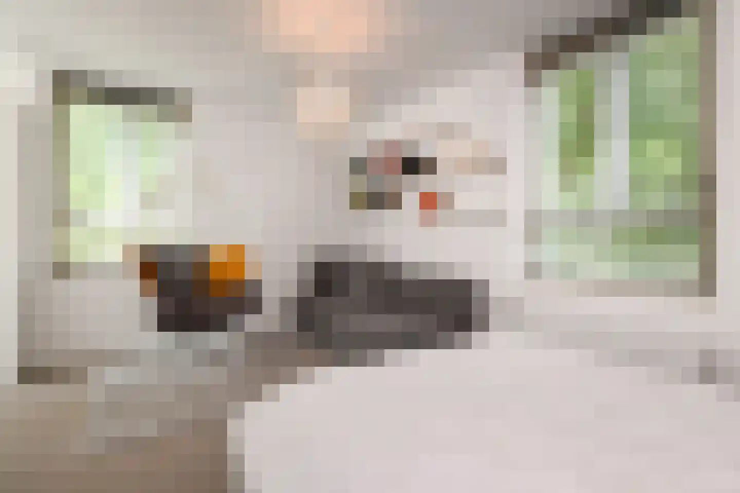 Ruysdaelplein 37 Rijswijk thumbnail 36