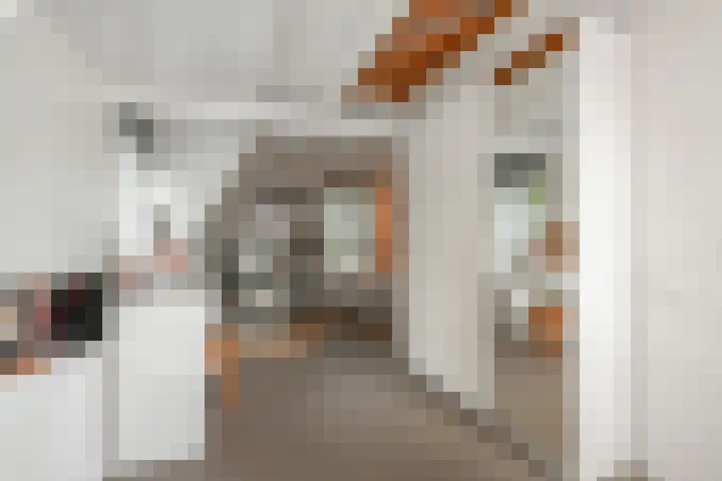Ruysdaelplein 37 Rijswijk thumbnail 43