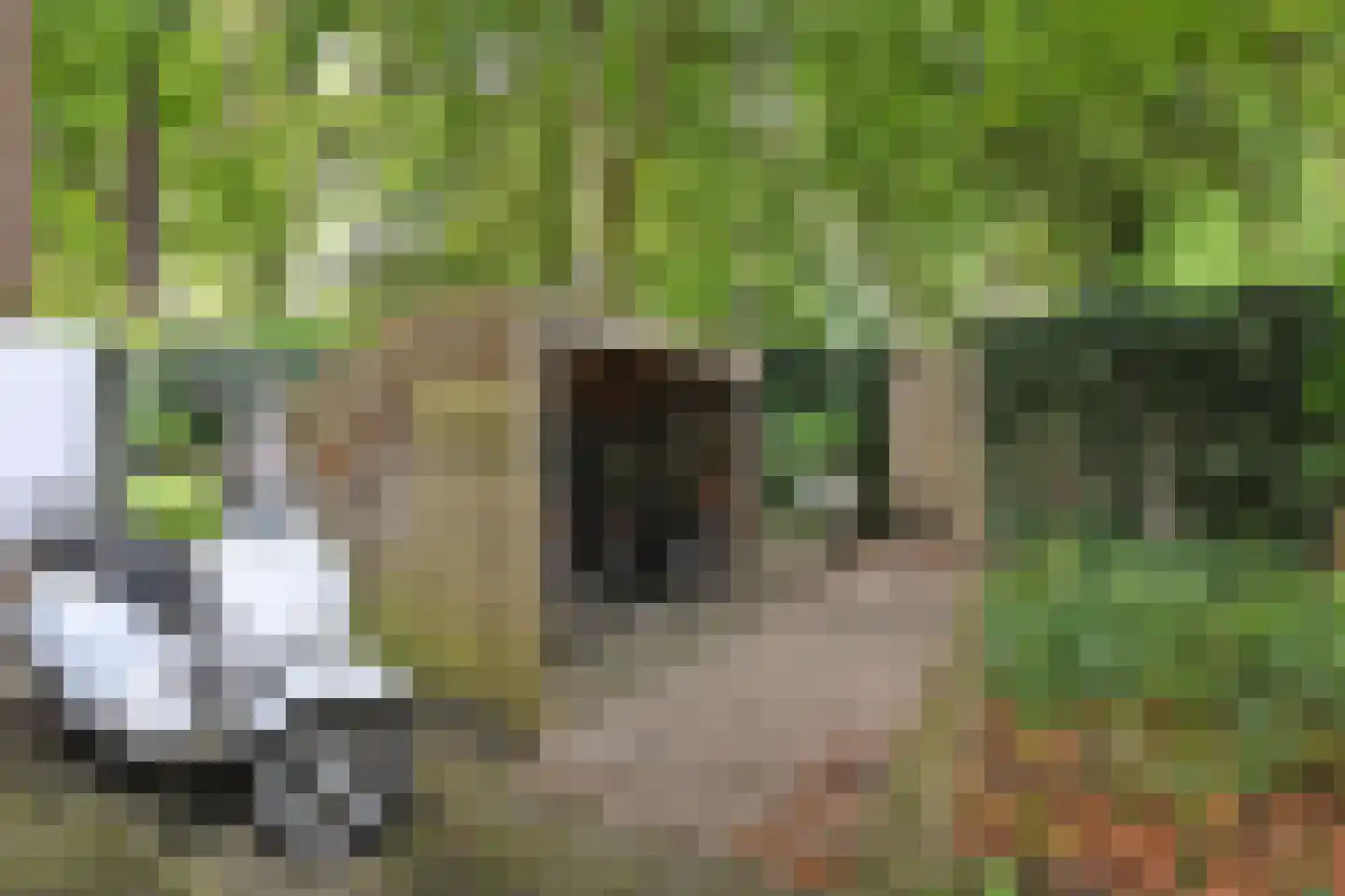Ruysdaelplein 37 Rijswijk thumbnail 48