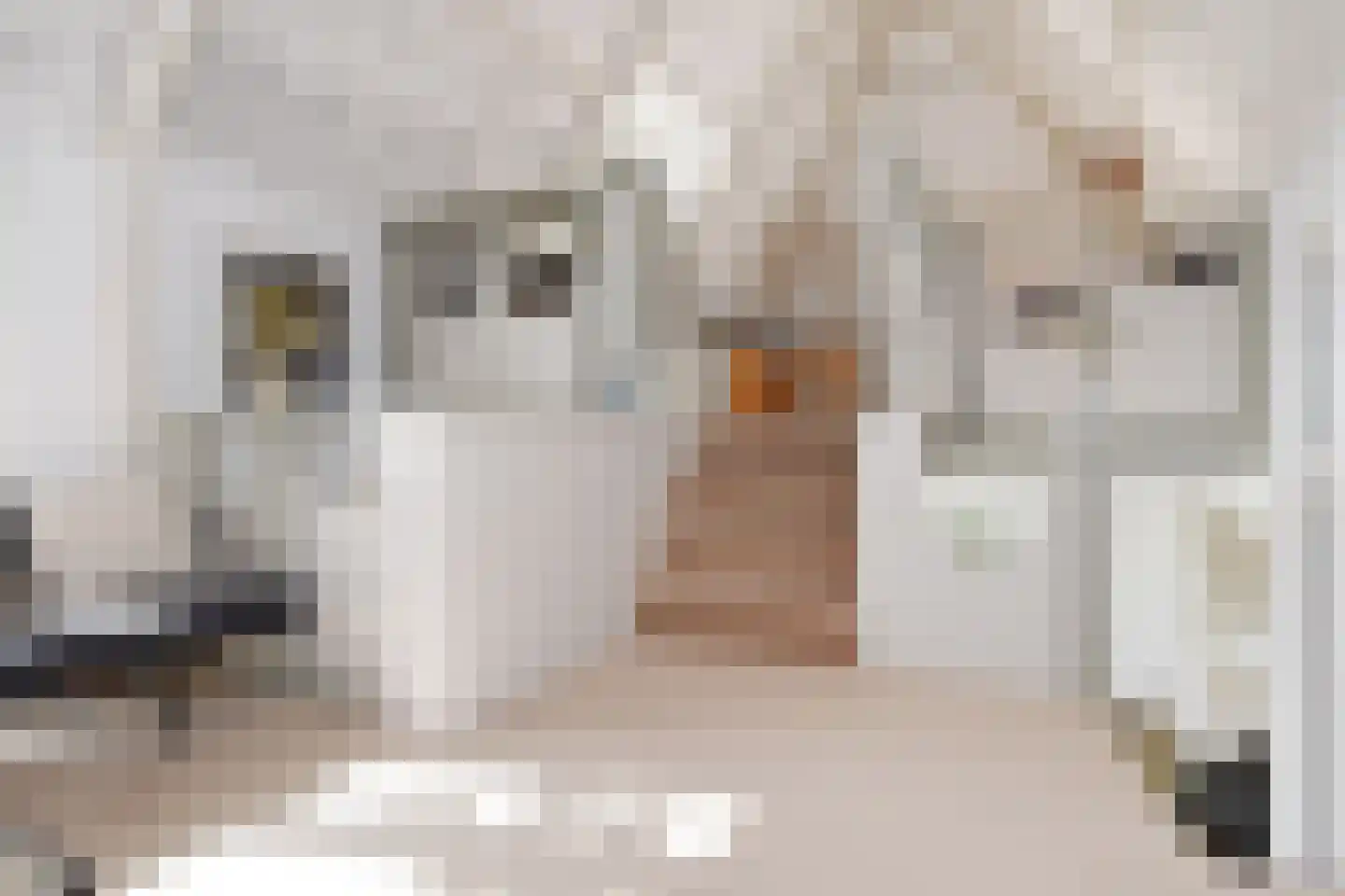 Ruysdaelplein 38 Rijswijk thumbnail 14