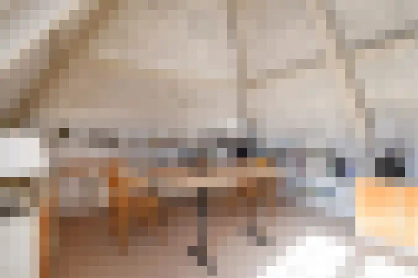 Ruysdaelplein 38 Rijswijk thumbnail 17