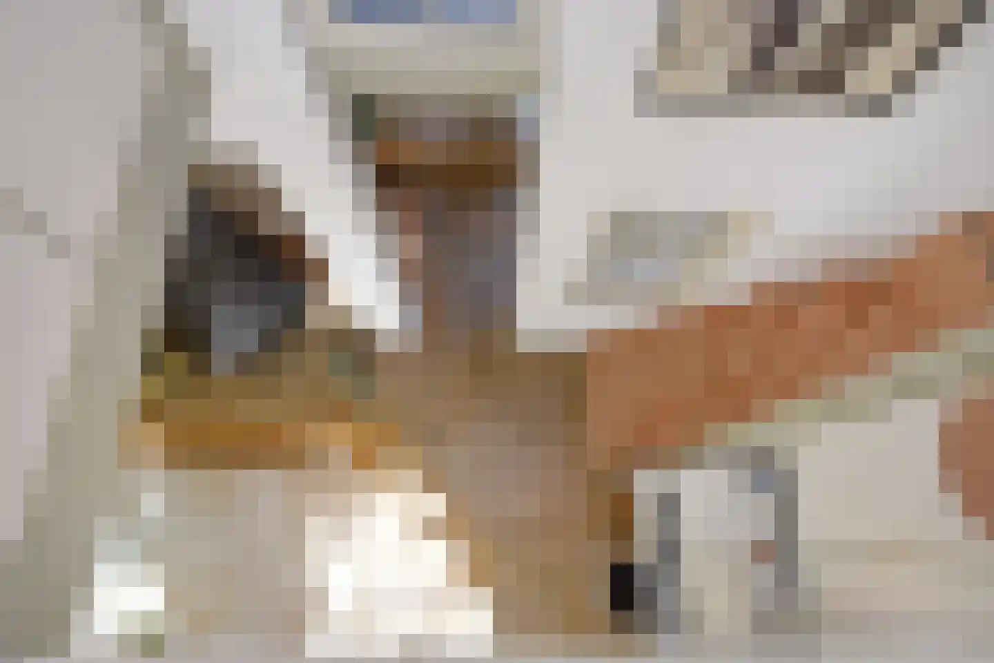 Ruysdaelplein 38 Rijswijk thumbnail 19