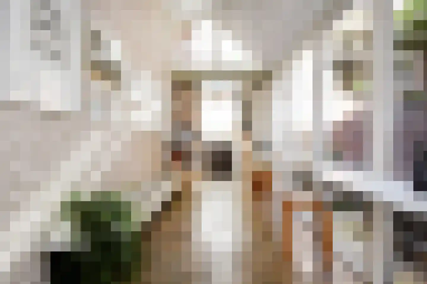 Ruysdaelplein 38 Rijswijk thumbnail 20