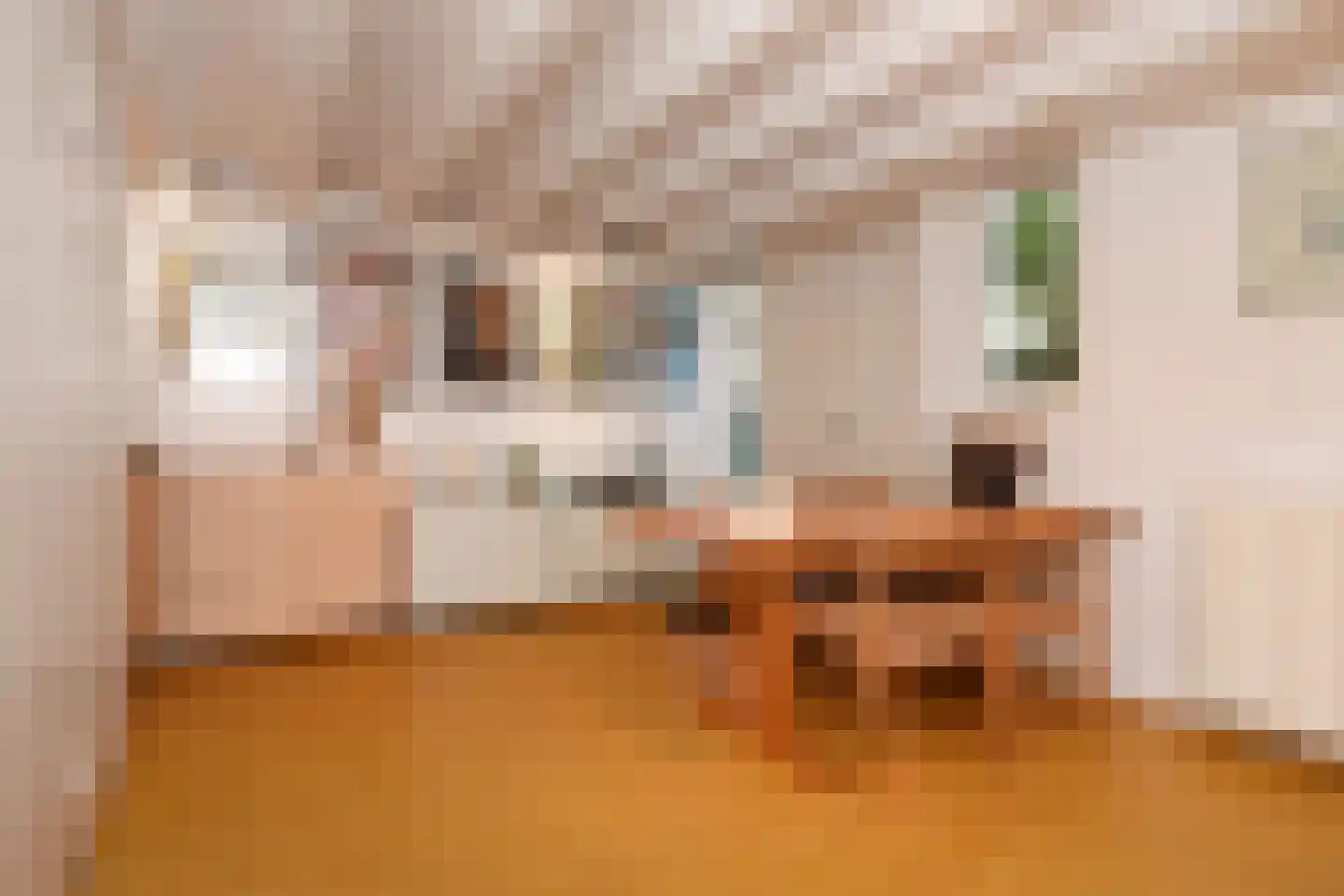 Ruysdaelplein 38 Rijswijk thumbnail 31