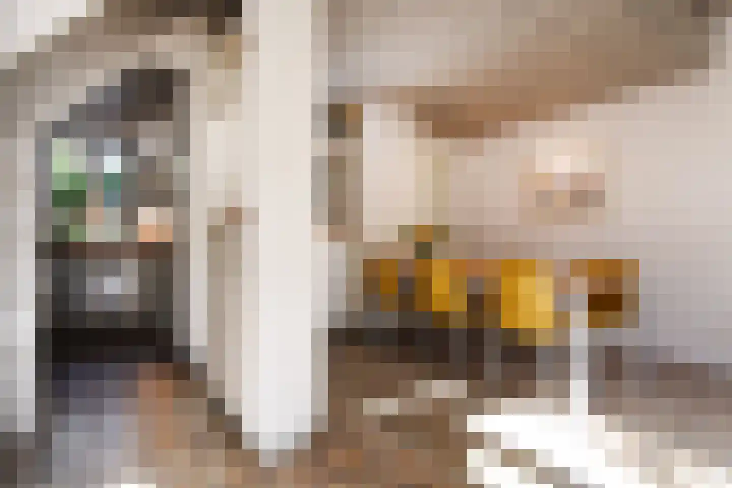 Ruysdaelplein 38 Rijswijk thumbnail 34