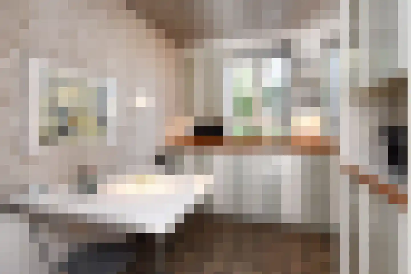Ruysdaelplein 38 Rijswijk thumbnail 35