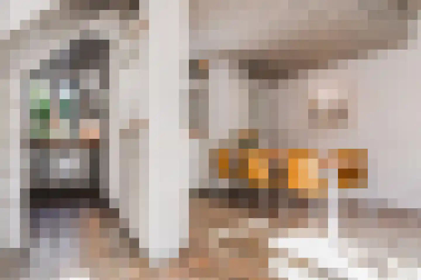 Ruysdaelplein 38 Rijswijk thumbnail 4