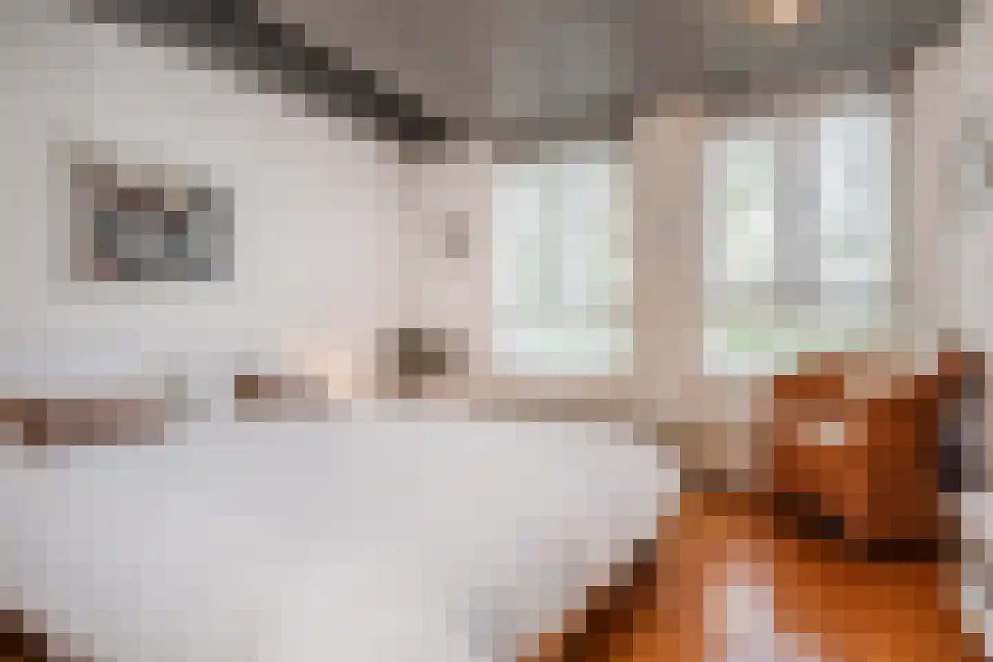 Ruysdaelplein 38 Rijswijk thumbnail 5