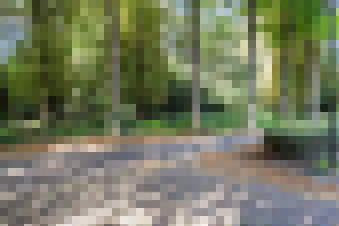 Ruysdaelplein 38 Rijswijk thumbnail 51