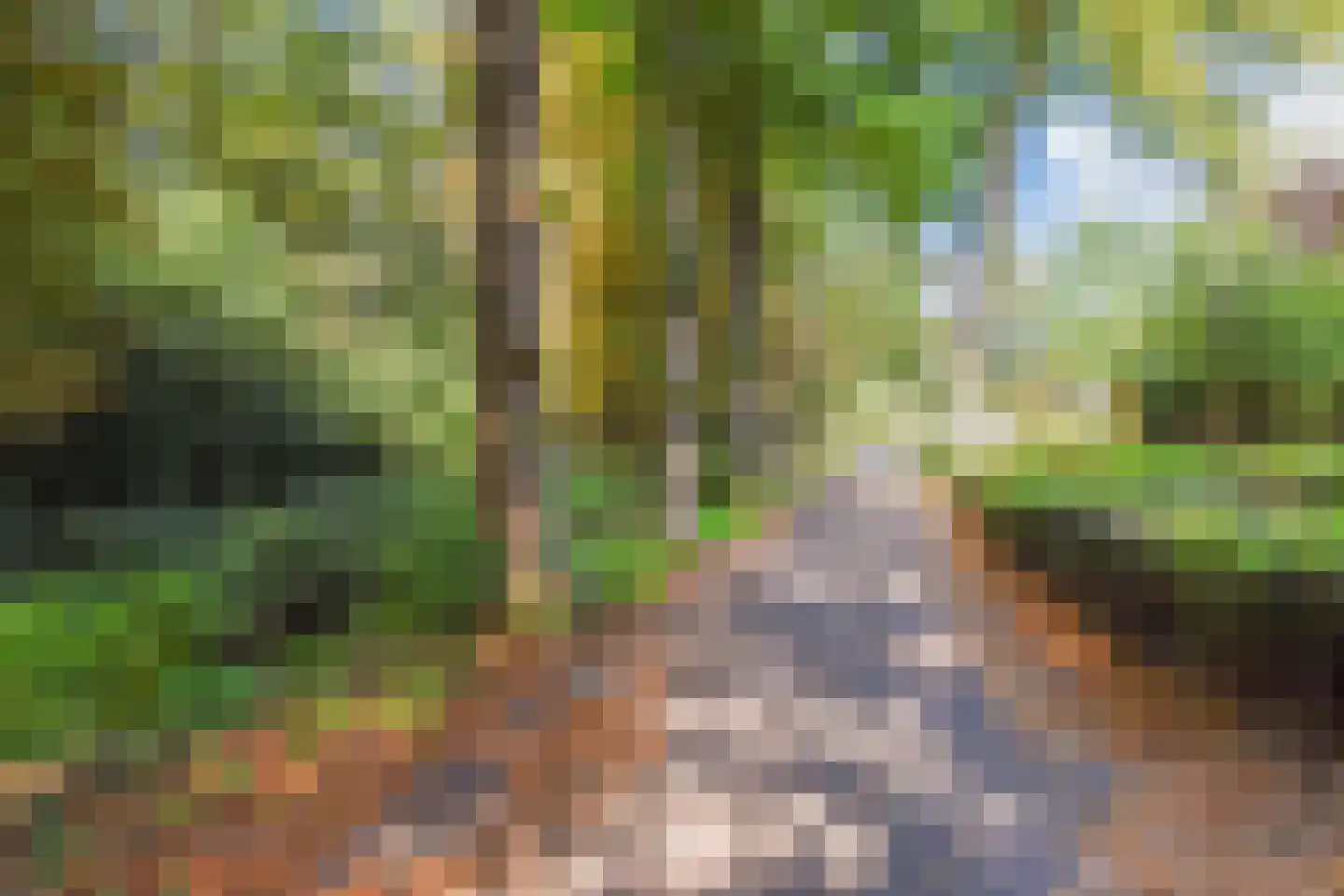 Ruysdaelplein 38 Rijswijk thumbnail 53