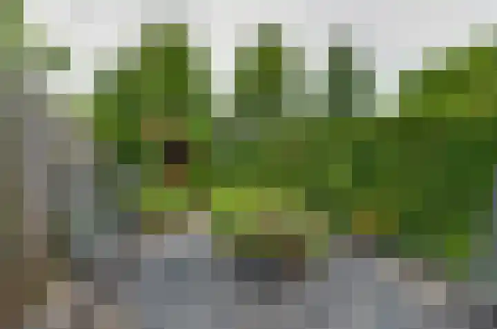 Ruysdaelstraat 14 Assen thumbnail 27